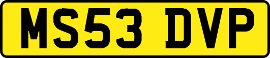 MS53DVP