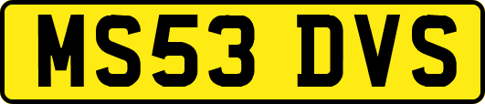 MS53DVS