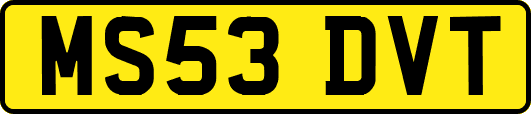 MS53DVT