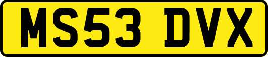 MS53DVX