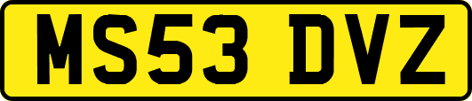 MS53DVZ