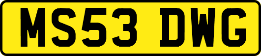 MS53DWG