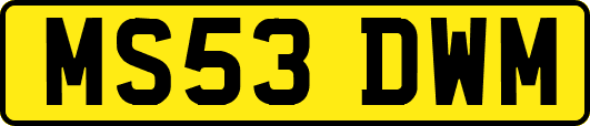 MS53DWM