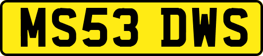 MS53DWS