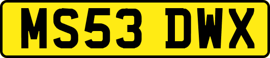MS53DWX