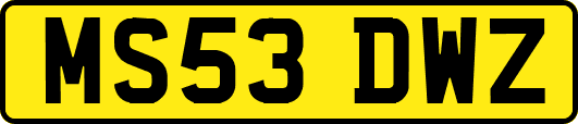 MS53DWZ