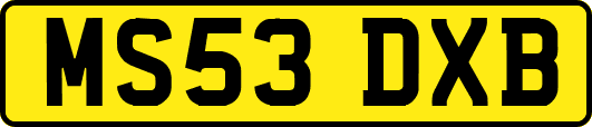 MS53DXB