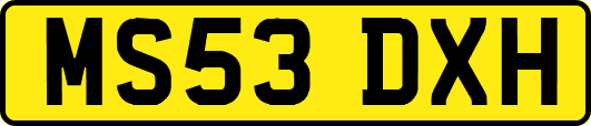 MS53DXH