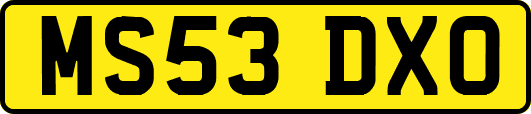 MS53DXO