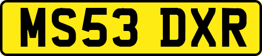 MS53DXR