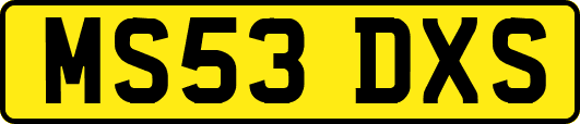 MS53DXS