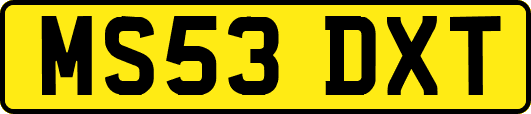 MS53DXT