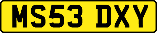 MS53DXY