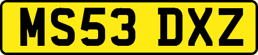MS53DXZ