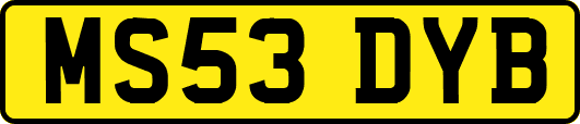 MS53DYB