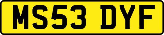 MS53DYF