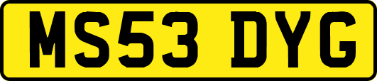 MS53DYG