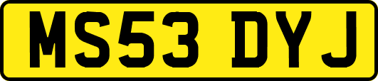 MS53DYJ