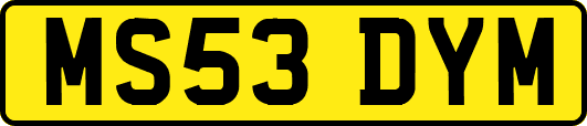 MS53DYM