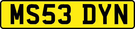 MS53DYN