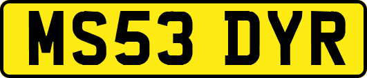 MS53DYR