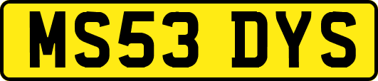 MS53DYS