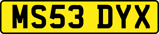 MS53DYX