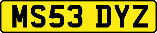 MS53DYZ