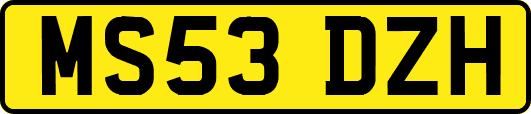 MS53DZH