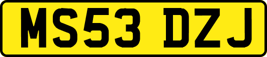MS53DZJ