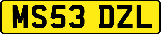 MS53DZL