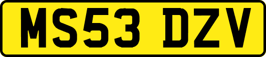 MS53DZV
