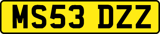 MS53DZZ