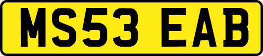 MS53EAB