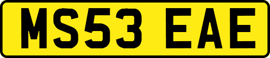 MS53EAE