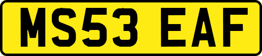 MS53EAF