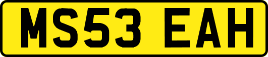 MS53EAH