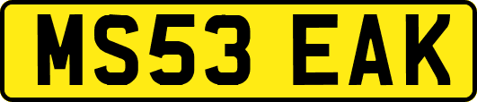 MS53EAK