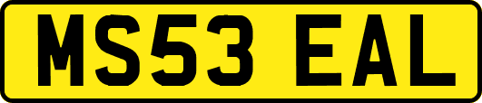 MS53EAL