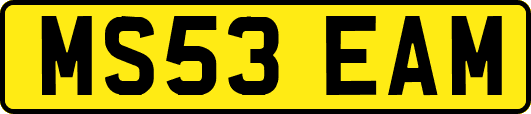 MS53EAM