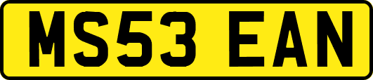 MS53EAN