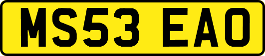 MS53EAO