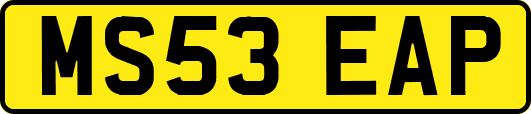 MS53EAP