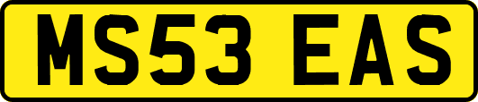 MS53EAS