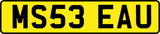MS53EAU