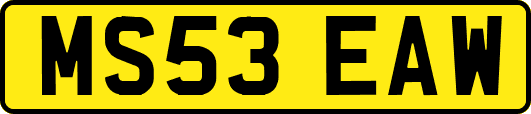 MS53EAW