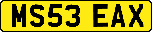 MS53EAX