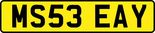 MS53EAY