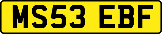 MS53EBF