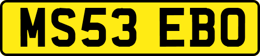 MS53EBO